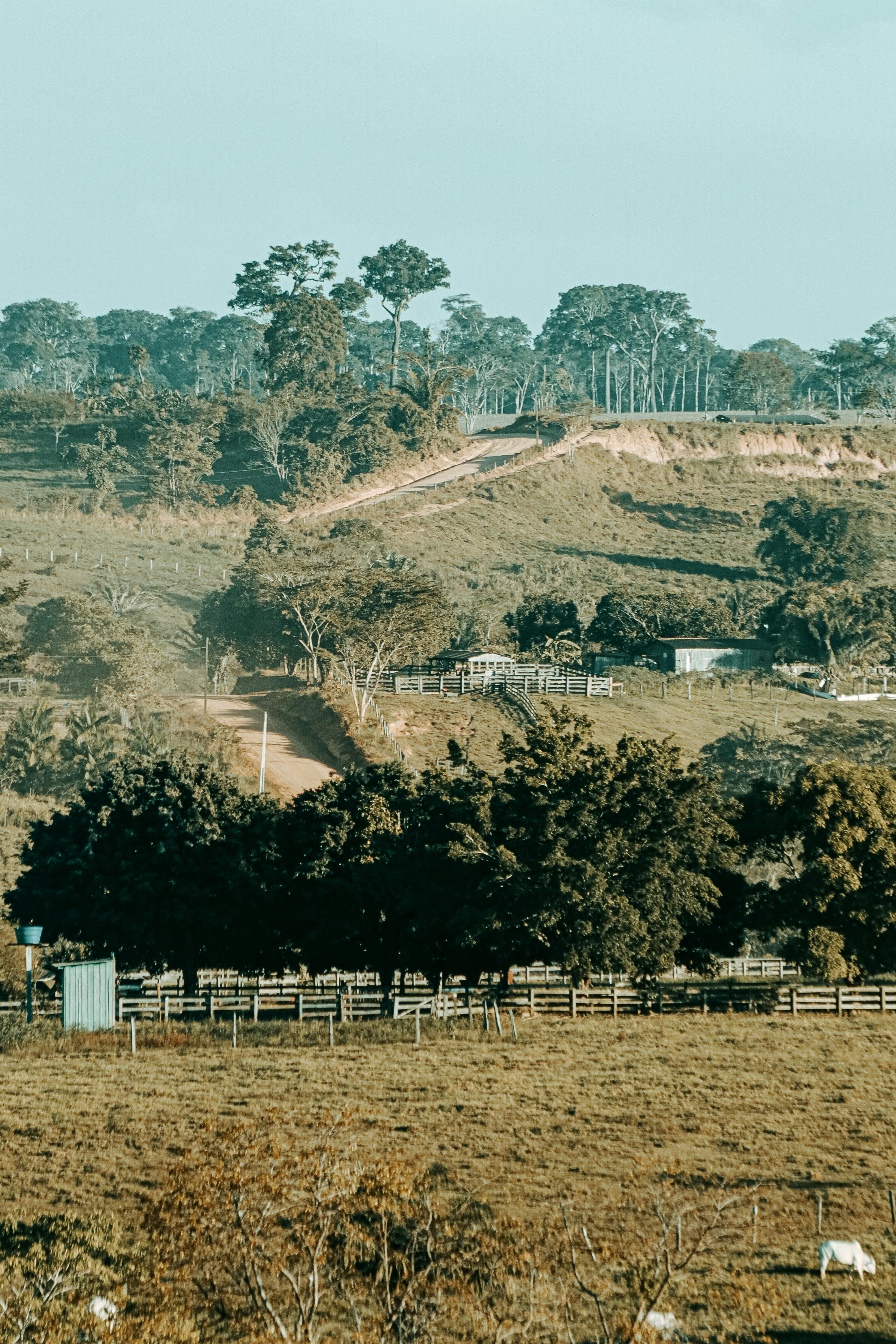 The studio & farm